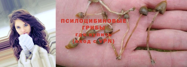 наркотики Богородск