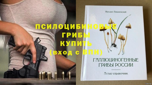 мдма Богородицк